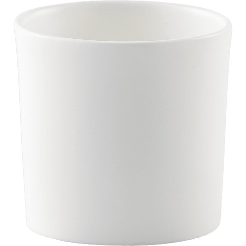 White fine bone china condiment pot