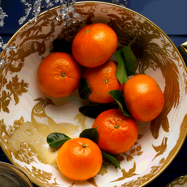 Aves Gold fine bone china salad bowl