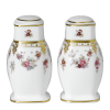 Royal Antoinette Fine Bone China Tableware Salt and Pepper