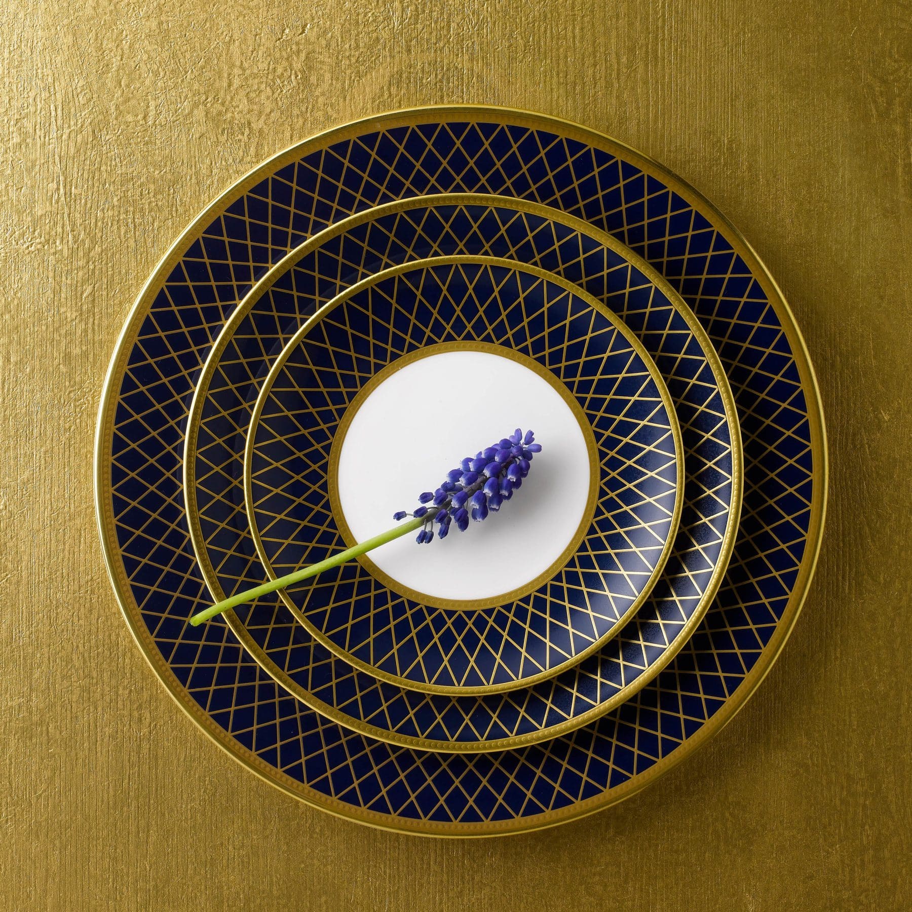 Majestic Navy Blue and Gold Fine Bone China Place Setting