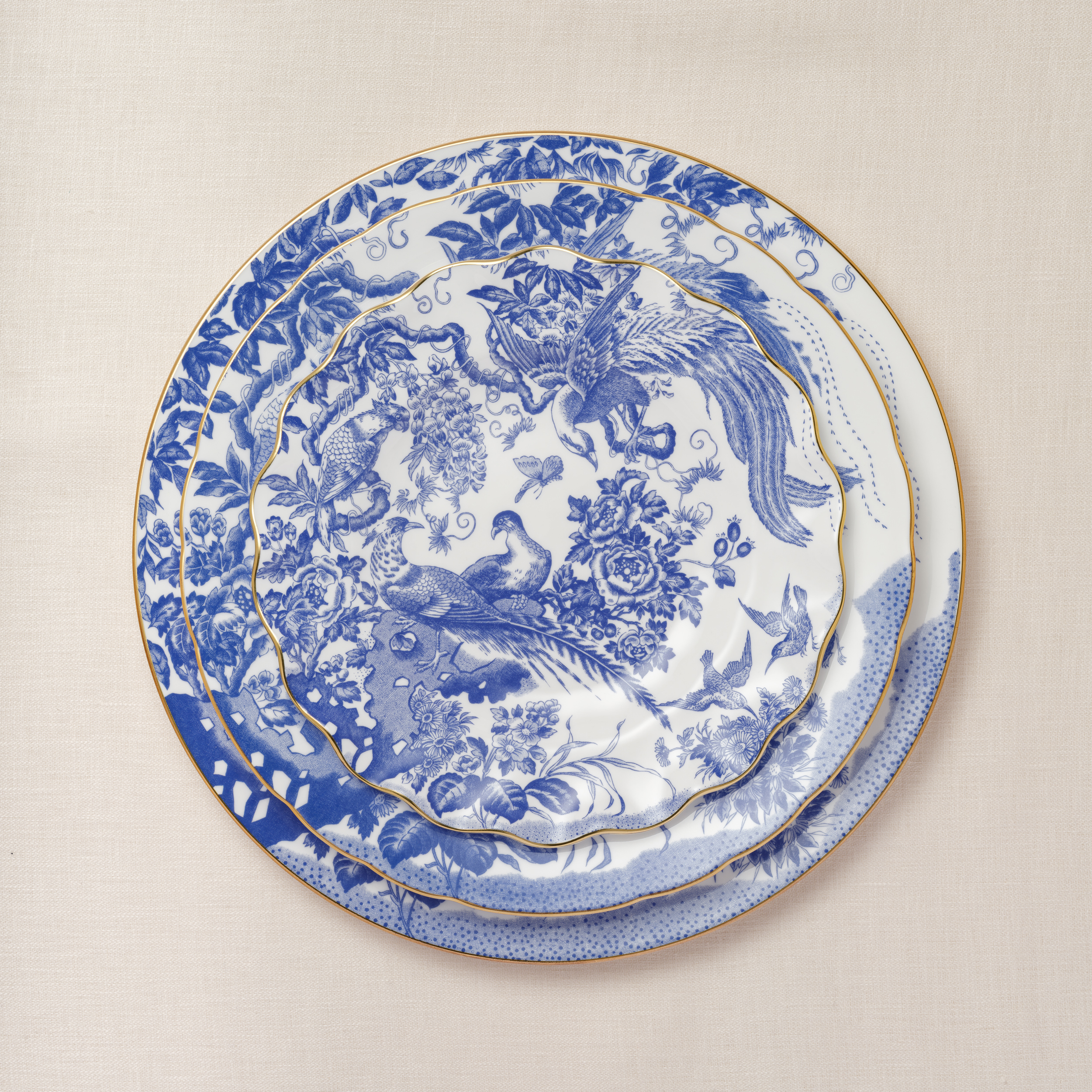 Aves Blue (2) Square