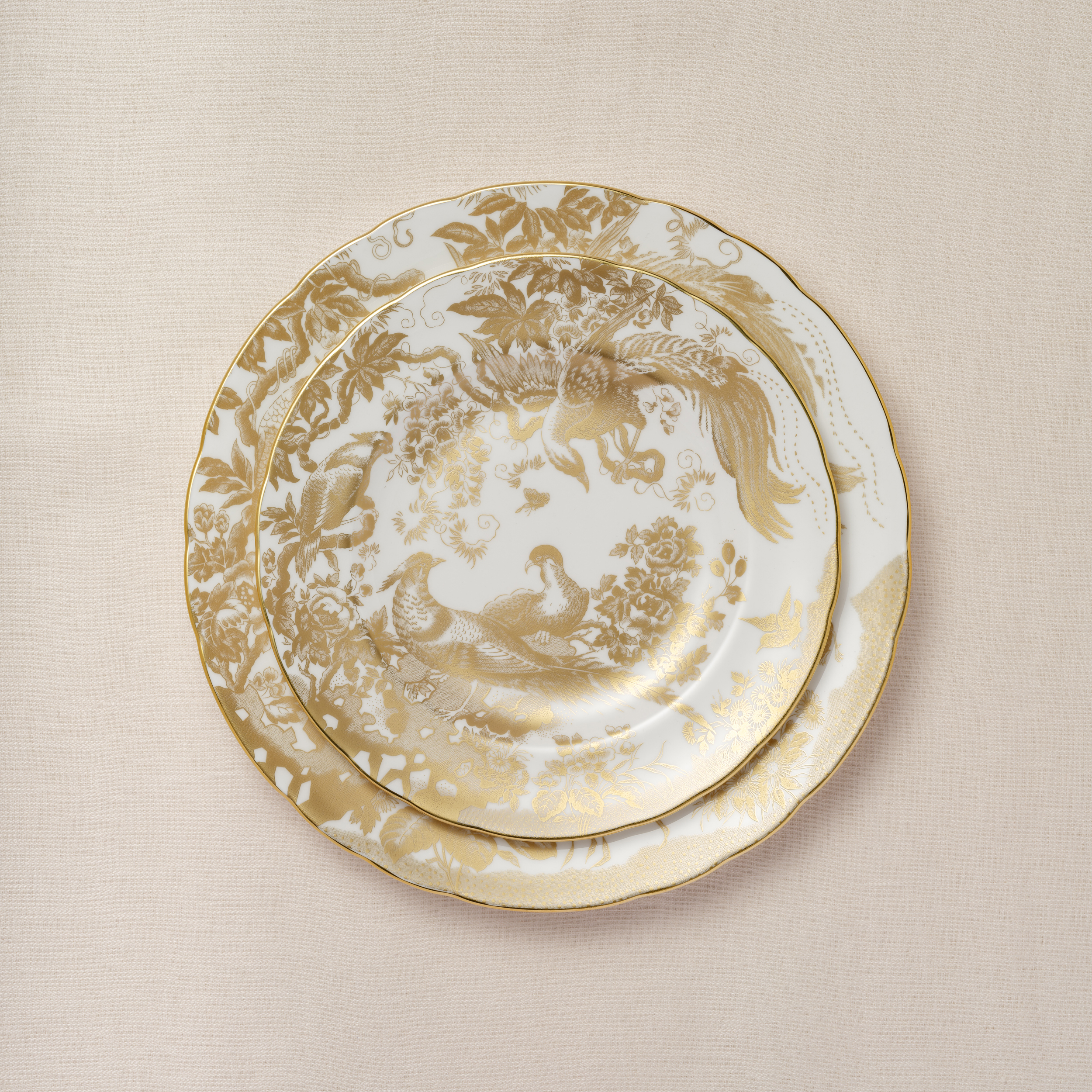 Aves Gold (4) Square