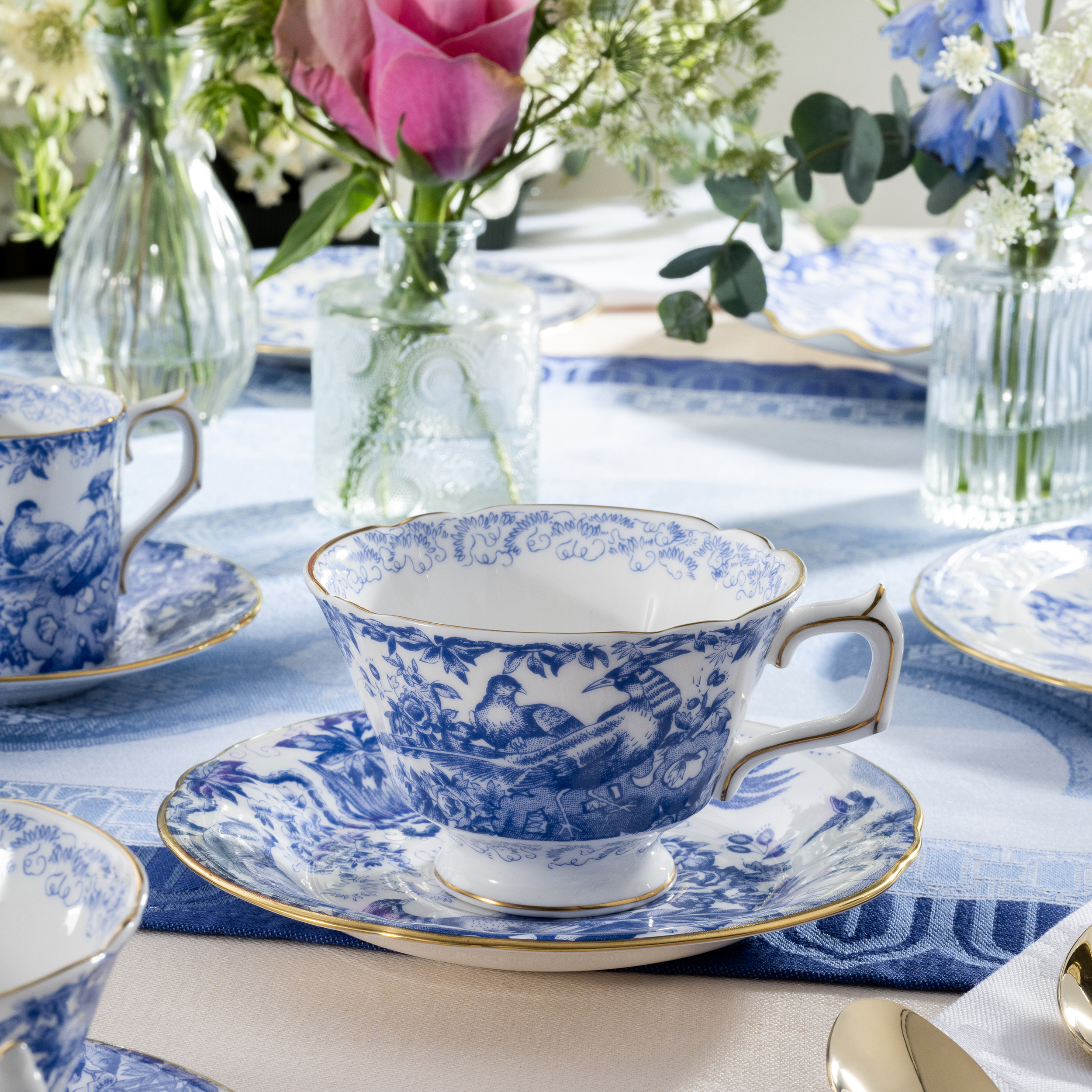 Aves Blue_Lifestyle (12)